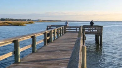 Anglers standing behind railings on a wooden coastal-bay fishing pier.